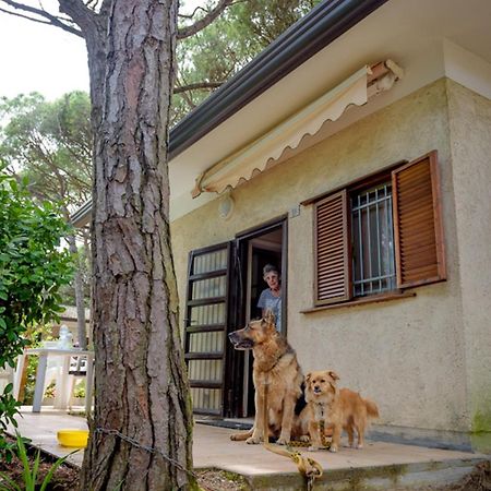 Arco Bungalow Eraclea Mare Εξωτερικό φωτογραφία