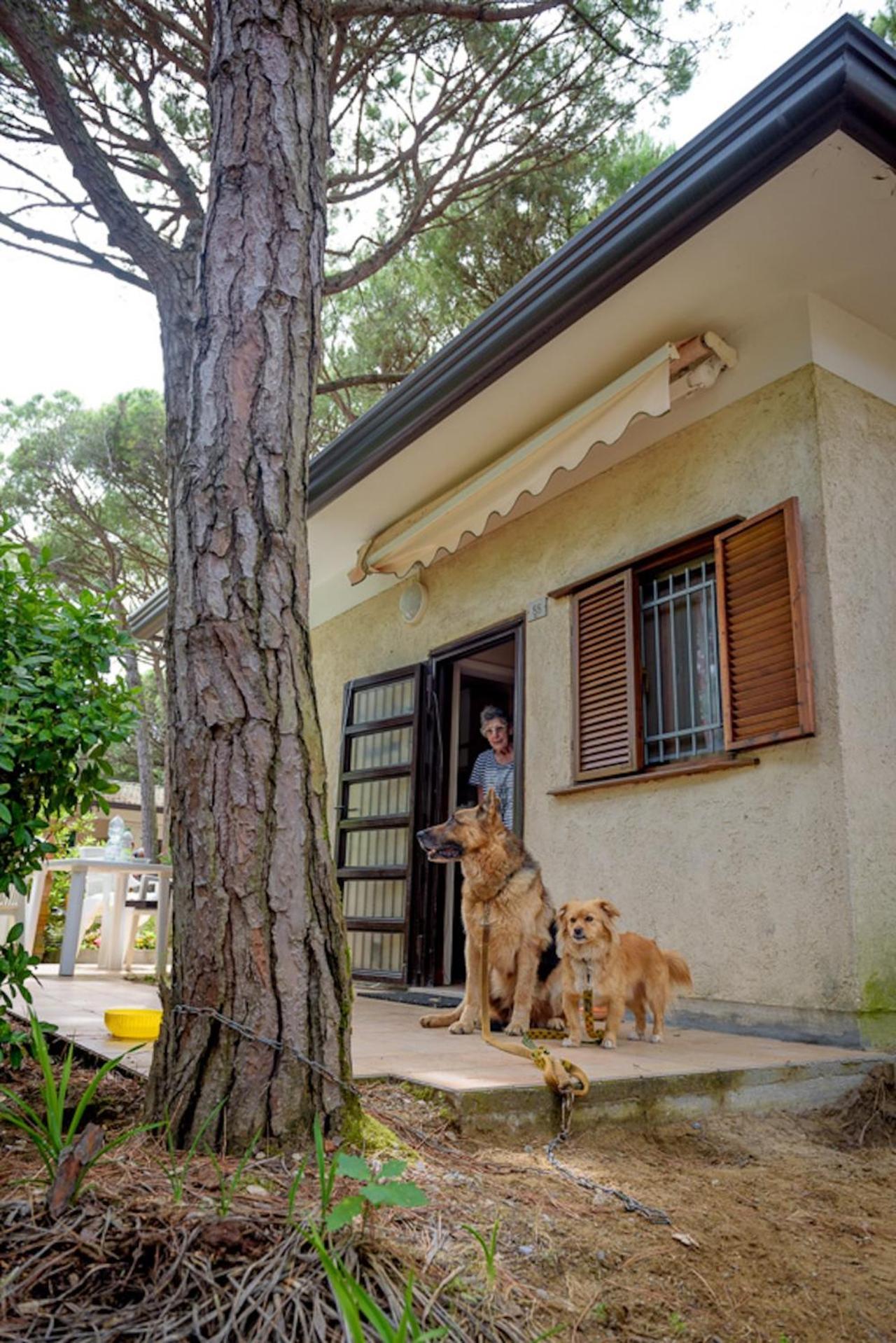 Arco Bungalow Eraclea Mare Εξωτερικό φωτογραφία